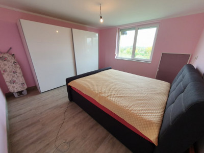 Casa cu 5 camere, 236 mp, teren 5805 mp, Brestea - Denta  imagine mica 8, foxfort.ro