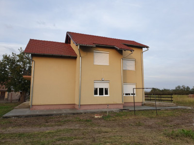 Casa cu 5 camere, 236 mp, teren 5805 mp, Brestea - Denta  imagine mica 15, foxfort.ro