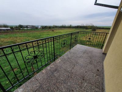 Casa cu 5 camere, 236 mp, teren 5805 mp, Brestea - Denta  imagine mica 35, foxfort.ro