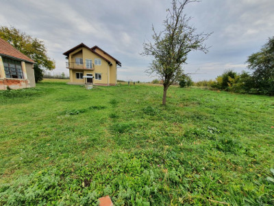 Casa cu 5 camere, 236 mp, teren 5805 mp, Brestea - Denta  imagine mica 40, foxfort.ro