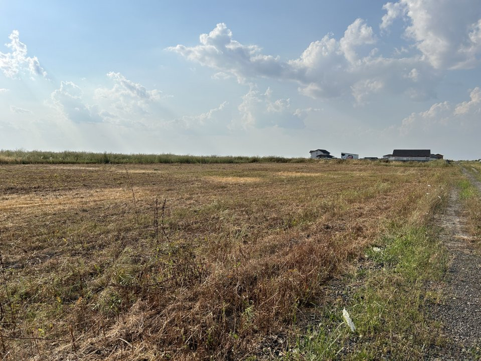 Parcele teren de vanzare in Sanandrei - ID V5451 3, foxfort.ro