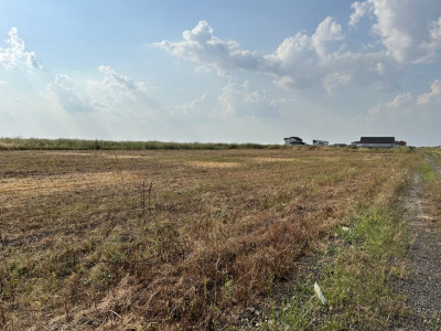 Parcele teren de vanzare in Sanandrei - ID V5451 imagine mica 3, foxfort.ro