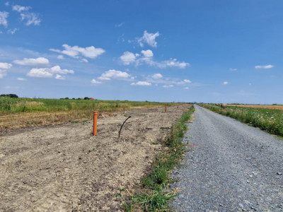 Teren intravilan cu toate utilitatiile zona Daimond Events Sacalaz - ID V5476 imagine mica 8, foxfort.ro