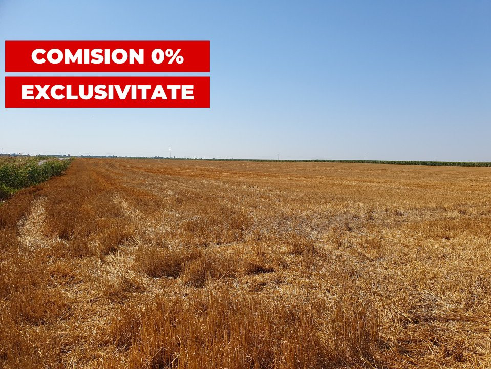 COMISION 0% Teren extravilan 4,47 ha, 800m front stradal, Peciu Nou - ID V5491 1, foxfort.ro