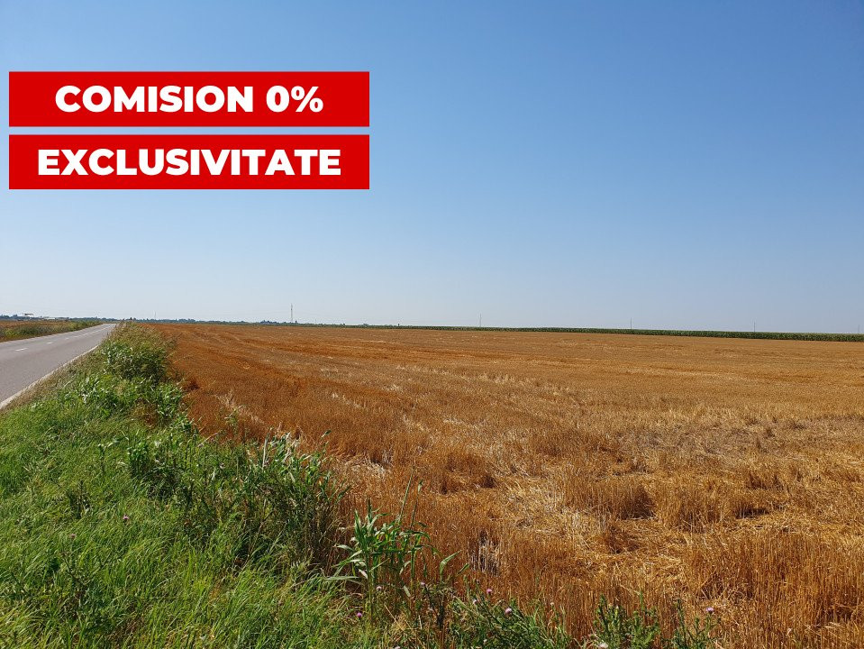 COMISION 0% Teren extravilan 4,47 ha, 800m front stradal, Peciu Nou - ID V5491 2, foxfort.ro