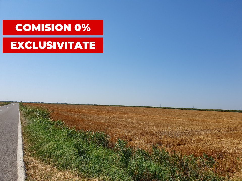 COMISION 0% Teren extravilan 4,47 ha, 800m front stradal, Peciu Nou - ID V5491 4, foxfort.ro