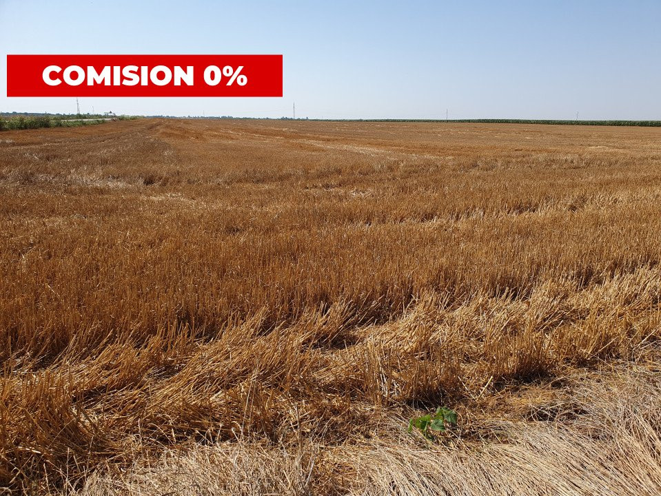 COMISION 0% Teren extravilan 4,47 ha, 800m front stradal, Peciu Nou - ID V5491 5, foxfort.ro