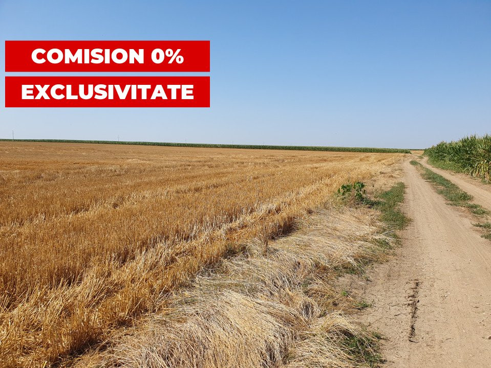COMISION 0% Teren extravilan 4,47 ha, 800m front stradal, Peciu Nou - ID V5491 6, foxfort.ro