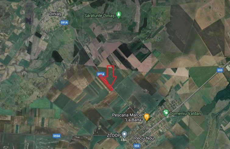 COMISION 0% Teren extravilan 4,47 ha, 800m front stradal, Peciu Nou - ID V5491 8, foxfort.ro