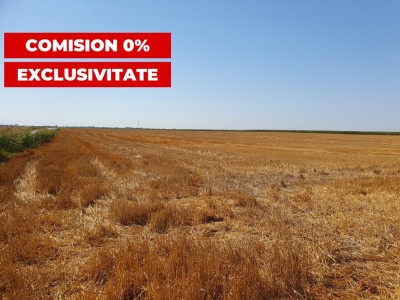 COMISION 0% Teren extravilan 4,47 ha, 800m front stradal, Peciu Nou - ID V5491