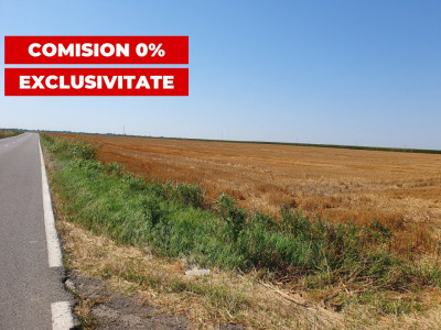 COMISION 0% Teren extravilan 4,47 ha, 800m front stradal, Peciu Nou - ID V5491 imagine mica 3, foxfort.ro