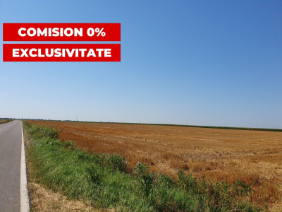 COMISION 0% Teren extravilan 4,47 ha, 800m front stradal, Peciu Nou - ID V5491 imagine mica 4, foxfort.ro