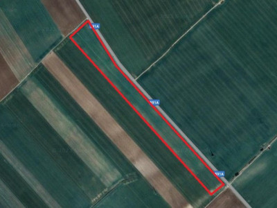 COMISION 0% Teren extravilan 4,47 ha, 800m front stradal, Peciu Nou - ID V5491 imagine mica 7, foxfort.ro