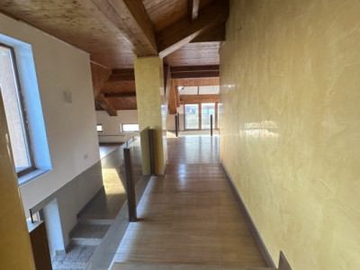 Casa individuala cu 10 camere si piscina, in Dumbravita - ID  C5624 imagine mica 19, foxfort.ro