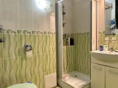 Apartamente de vanzare Timisoara Girocului imagine mica 8
