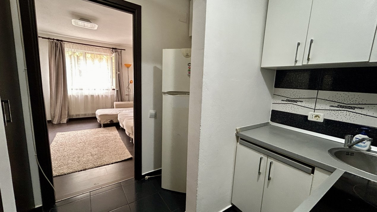 Apartamente de inchiriat Timisoara Buziasului 4