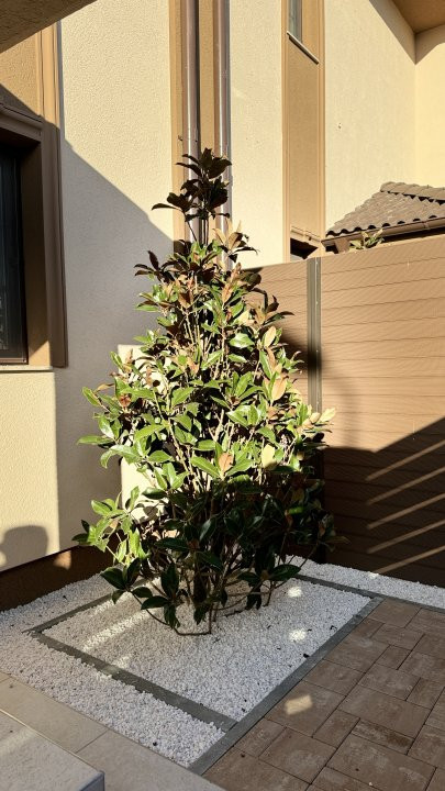 Duplex cu 5 camere cu finisaje premium in Giroc, aproape de Primarie 18, foxfort.ro