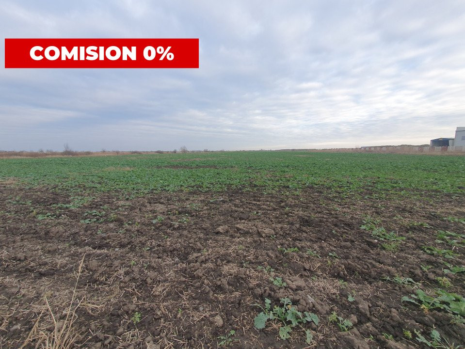 Comision 0% Teren industrial, 7 ha, intravilan, Calea Sagului  2, foxfort.ro