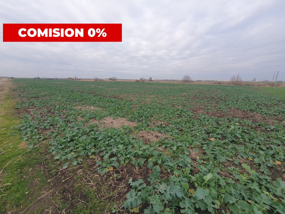 Comision 0% Teren industrial, 7 ha, intravilan, Calea Sagului  4, foxfort.ro