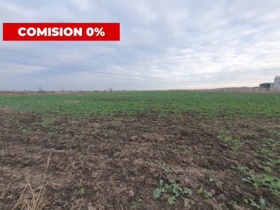 Comision 0% Teren industrial, 7 ha, intravilan, Calea Sagului imagine mica 2, foxfort.ro