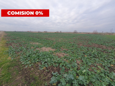 Comision 0% Teren industrial, 7 ha, intravilan, Calea Sagului imagine mica 4, foxfort.ro