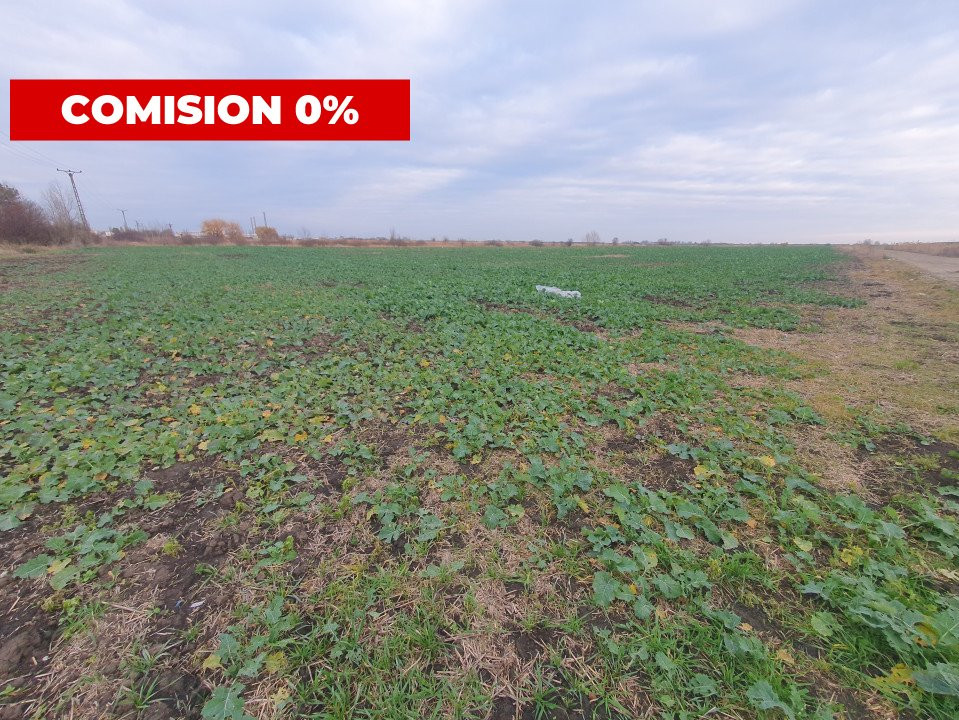 Comision 0% Teren extravilan agricol 21,32 ha sau intravilan cu PUZ aprobat 7, foxfort.ro