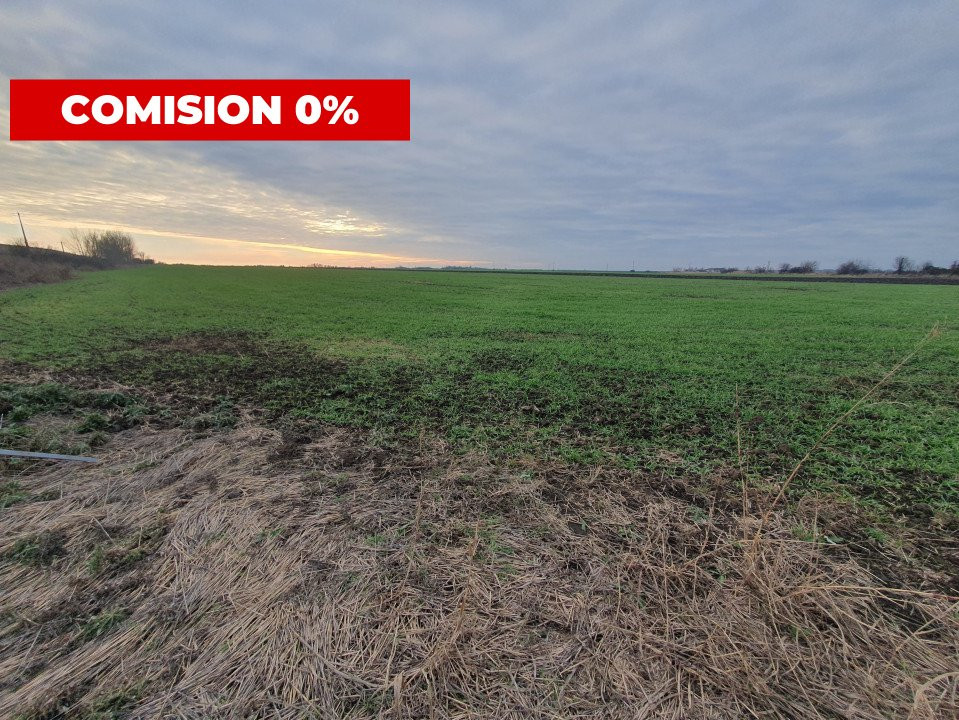 Comision 0% Teren extravilan agricol 21,32 ha sau intravilan cu PUZ aprobat 12, foxfort.ro