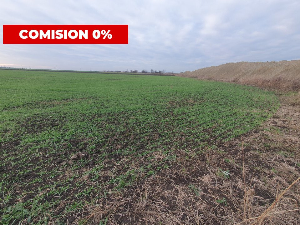 Comision 0% Teren extravilan agricol 21,32 ha sau intravilan cu PUZ aprobat 13, foxfort.ro