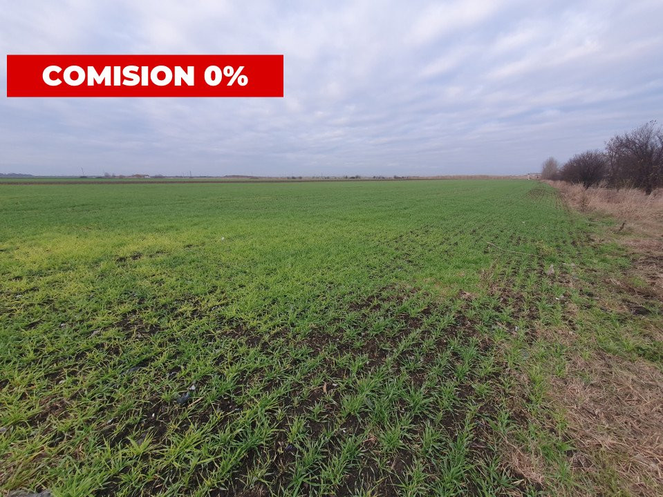 Comision 0% Teren extravilan agricol 21,32 ha sau intravilan cu PUZ aprobat 14, foxfort.ro