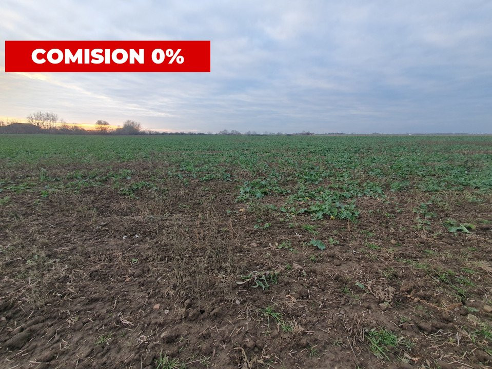 Comision 0% Teren extravilan agricol 21,32 ha sau intravilan cu PUZ aprobat 19, foxfort.ro