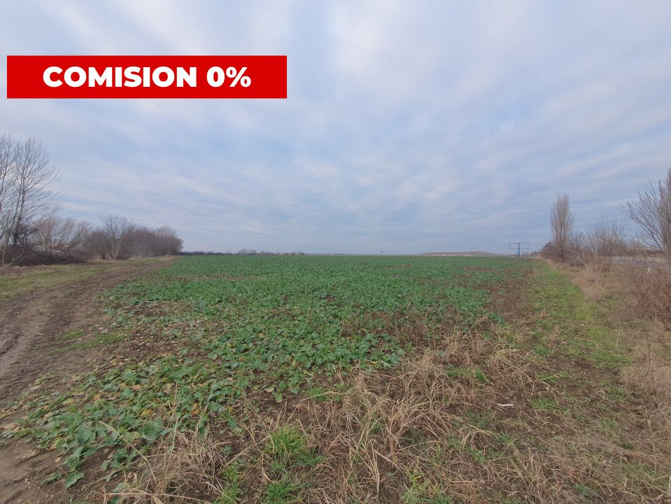 Comision 0% Teren extravilan agricol 21,32 ha sau intravilan cu PUZ aprobat 20, foxfort.ro