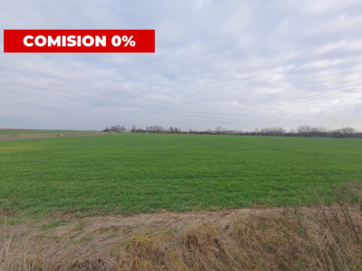 Comision 0% Teren extravilan agricol 21,32 ha sau intravilan cu PUZ aprobat imagine mica 2, foxfort.ro