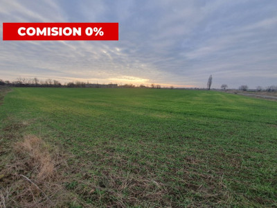 Comision 0% Teren extravilan agricol 21,32 ha sau intravilan cu PUZ aprobat imagine mica 5, foxfort.ro