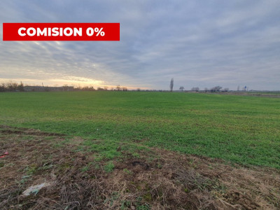 Comision 0% Teren extravilan agricol 21,32 ha sau intravilan cu PUZ aprobat imagine mica 6, foxfort.ro