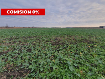 Comision 0% Teren extravilan agricol 21,32 ha sau intravilan cu PUZ aprobat imagine mica 9, foxfort.ro