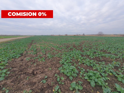 Comision 0% Teren extravilan agricol 21,32 ha sau intravilan cu PUZ aprobat imagine mica 10, foxfort.ro