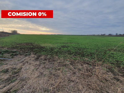 Comision 0% Teren extravilan agricol 21,32 ha sau intravilan cu PUZ aprobat imagine mica 12, foxfort.ro