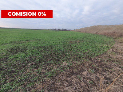 Comision 0% Teren extravilan agricol 21,32 ha sau intravilan cu PUZ aprobat imagine mica 13, foxfort.ro