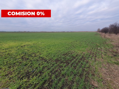 Comision 0% Teren extravilan agricol 21,32 ha sau intravilan cu PUZ aprobat imagine mica 14, foxfort.ro