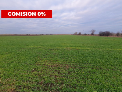 Comision 0% Teren extravilan agricol 21,32 ha sau intravilan cu PUZ aprobat imagine mica 15, foxfort.ro