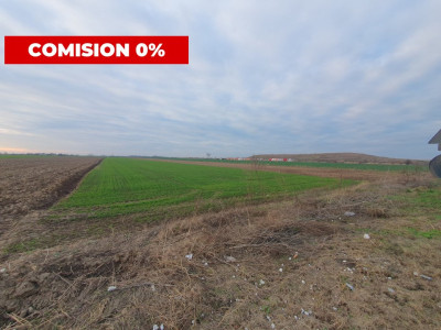 Comision 0% Teren extravilan agricol 21,32 ha sau intravilan cu PUZ aprobat imagine mica 18, foxfort.ro