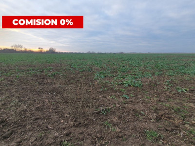 Comision 0% Teren extravilan agricol 21,32 ha sau intravilan cu PUZ aprobat imagine mica 19, foxfort.ro