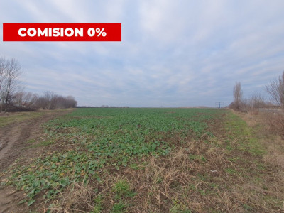 Comision 0% Teren extravilan agricol 21,32 ha sau intravilan cu PUZ aprobat imagine mica 20, foxfort.ro