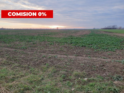 Comision 0% Teren extravilan agricol 21,32 ha sau intravilan cu PUZ aprobat imagine mica 21, foxfort.ro