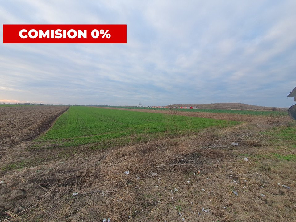 COMISION 0% Teren extravilan agricol 10.000 mp la sosea in Sag 1, foxfort.ro