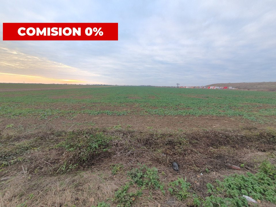 COMISION 0% Teren extravilan agricol 10.000 mp la sosea in Sag 2, foxfort.ro