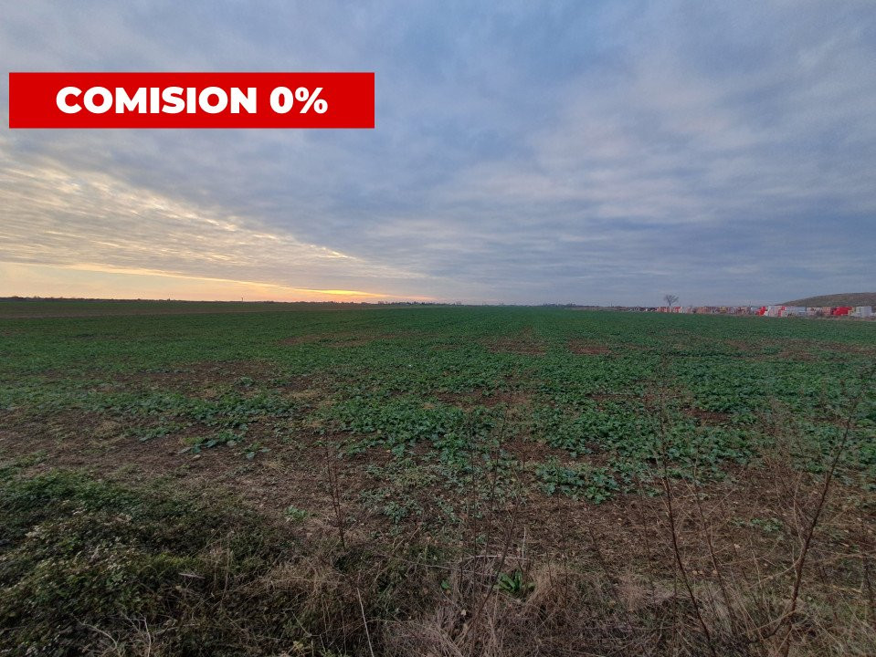 COMISION 0% Teren extravilan agricol 10.000 mp la sosea in Sag 3, foxfort.ro