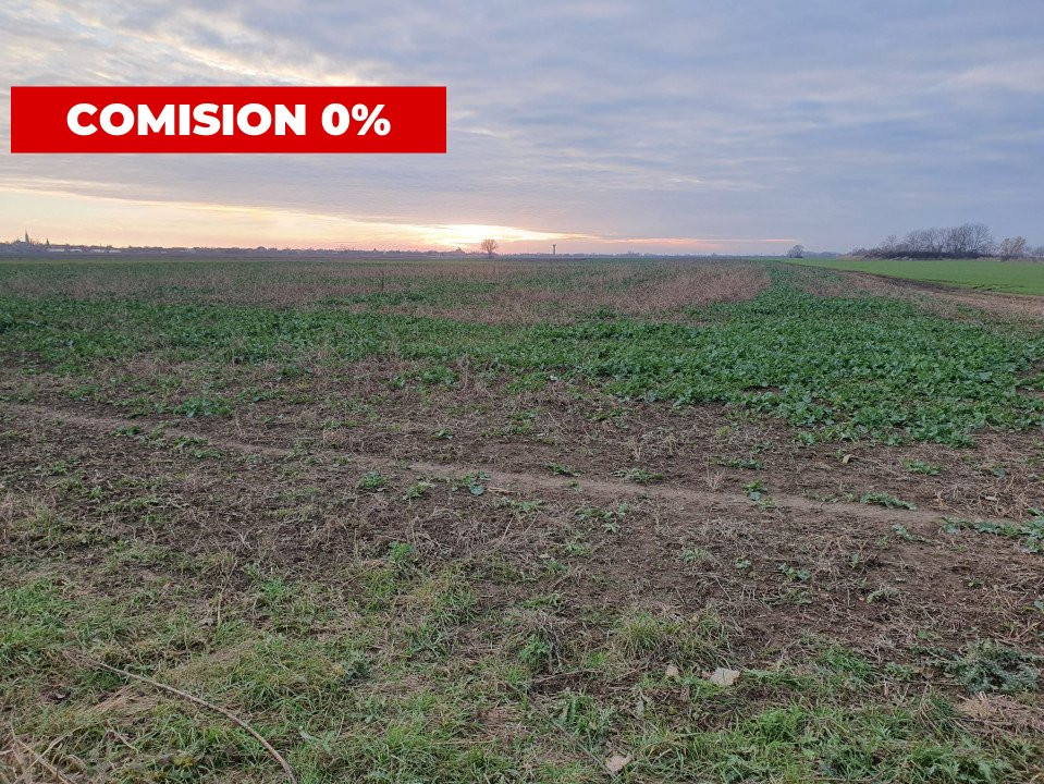 COMISION 0% Teren extravilan agricol 10.000 mp la sosea in Sag 5, foxfort.ro