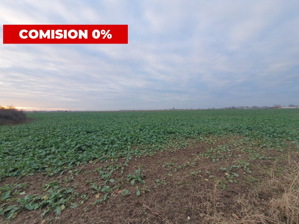 COMISION 0% Teren extravilan agricol 10.000 mp la sosea in Sag 6, foxfort.ro