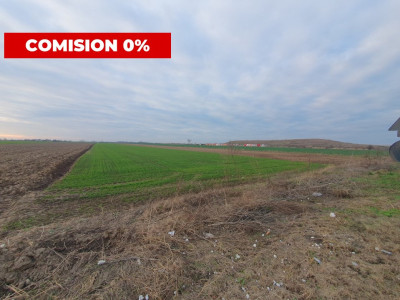 COMISION 0% Teren extravilan agricol 10.000 mp la sosea in Sag